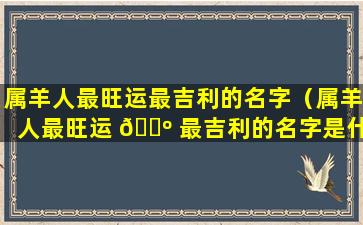 属羊人最旺运最吉利的名字（属羊人最旺运 🌺 最吉利的名字是什么）